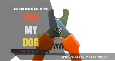 Paws and Reflect: The Do's and Don'ts of Using Human Nail Cutters on Dogs