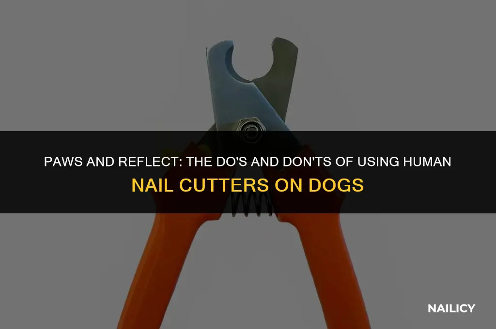 can i use human nail cutter for my dog