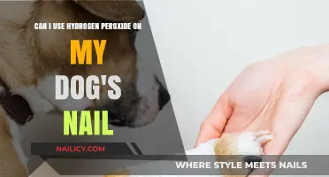 Safely Trimming Your Dog's Nails with Hydrogen Peroxide: A Guide