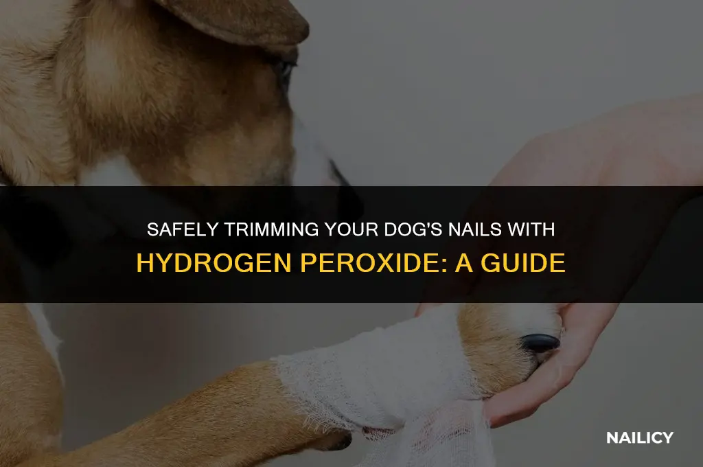 can i use hydrogen peroxide on my dog