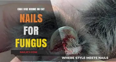 Treating Feline Nail Fungus: Is Iodine a Safe and Effective Solution?