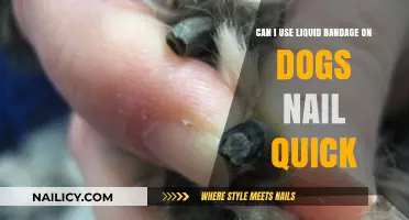 Liquid Bandage for Dog Nail Quick: Safe or Not?