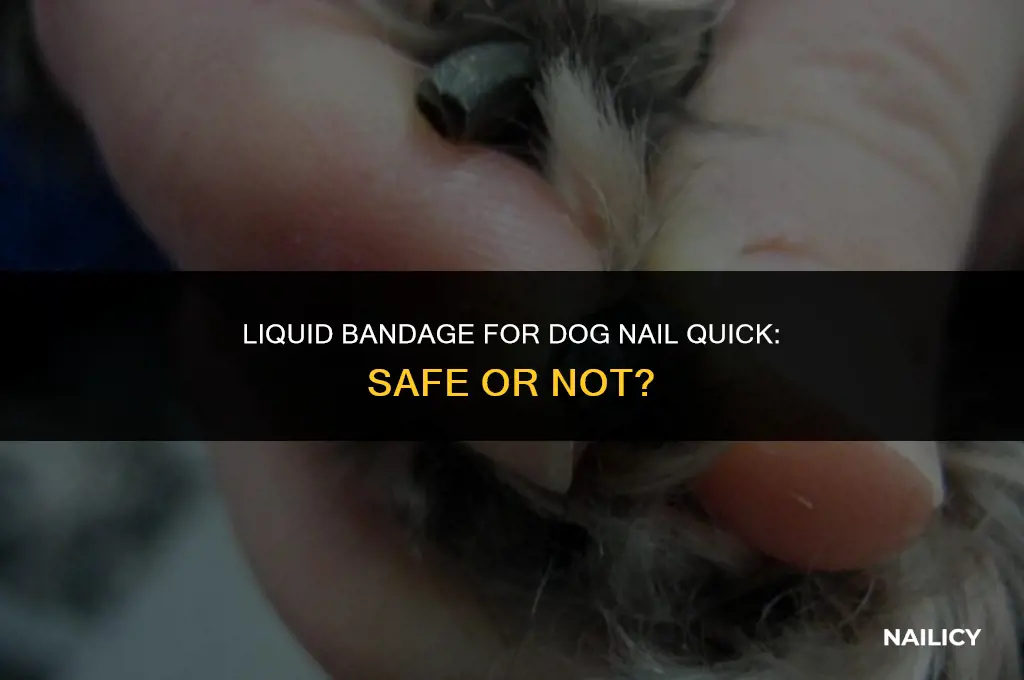 can i use liquid bandage on dogs nail quick