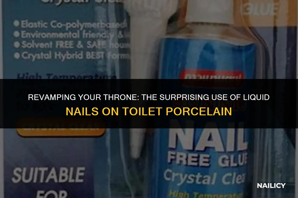 can i use liquid nail toilet porcelain