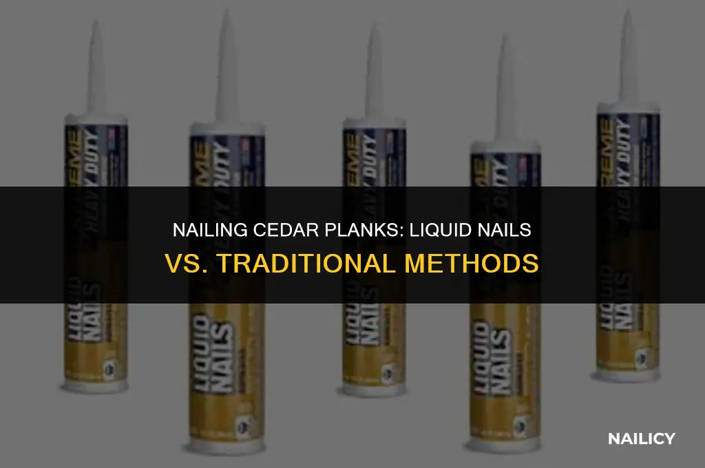can i use liquid nails on cedar planks