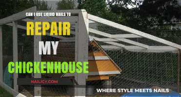 DIY Chickenhouse Repair: Liquid Nails to the Rescue!