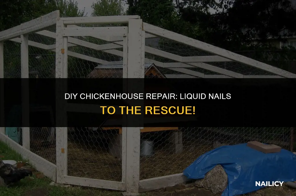can i use liquid nails to repair my chickenhouse