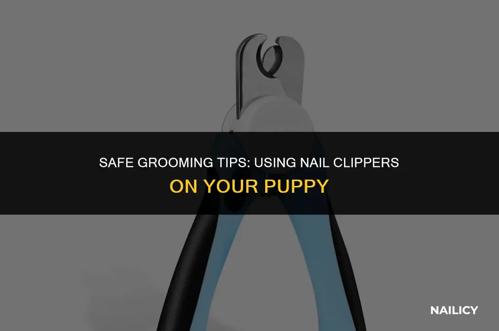 can i use nail clippers on my puppy