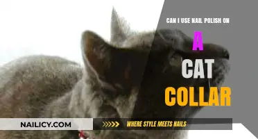 Is Nail Polish Safe for Decorating Your Cat's Collar?