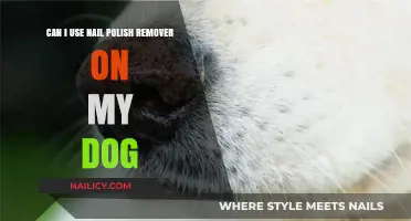 Using Nail Polish Remover on Dogs: Safe or Not?