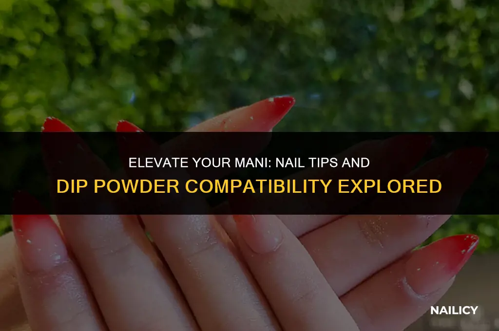 can i use nail tips with dip powder