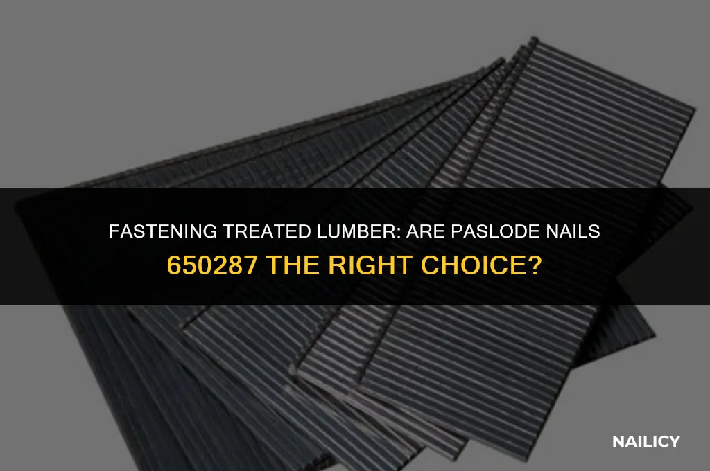can i use paslode nails 650287 with treated lumber