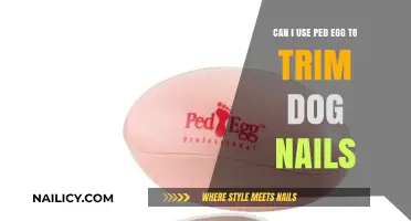Ped Egg for Dog Nail Trimming: A Safe and Effective Alternative?