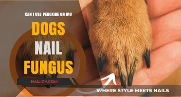 Treating Dog Nail Fungus: Is Peroxide a Safe Option?
