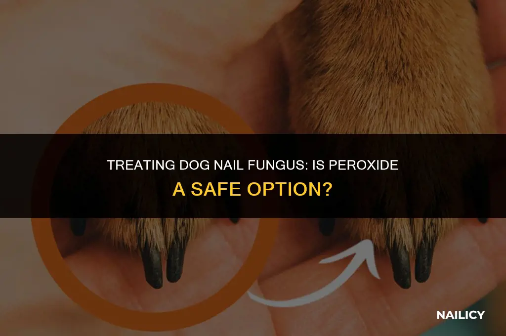 can i use peroxide on mu dogs nail fungus