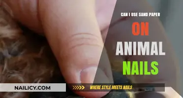 Safe Grooming Practices: Sandpaper on Animal Nails - A Guide