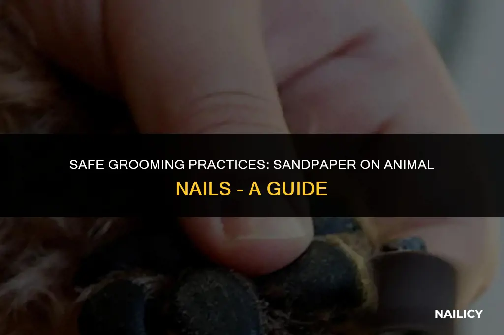 can i use sand paper on animal nails