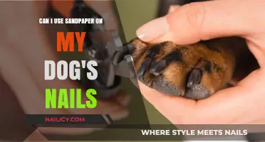 Safely Trimming Your Dog's Nails: Sandpaper or Not?