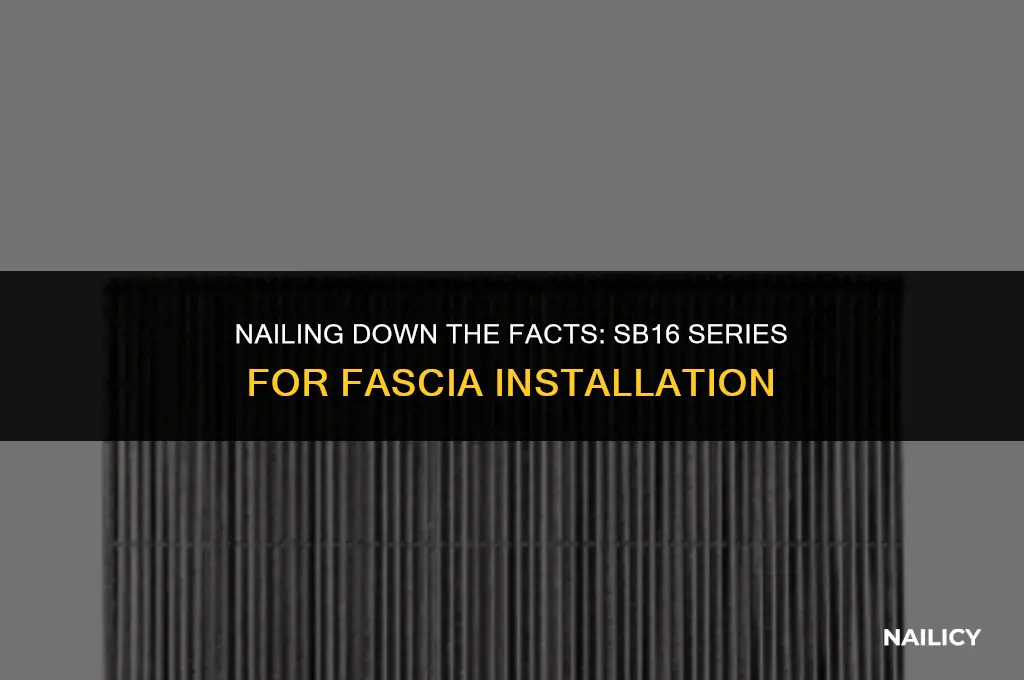 can i use sb16 series nails for fascia