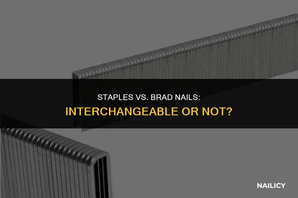 can i use staples in a brad nailer