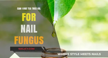 Natural Remedies: Tea Tree Oil's Potential Against Nail Fungus