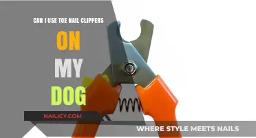 Safe Grooming Tips: Toenail Clippers for Dogs - Yes or No?