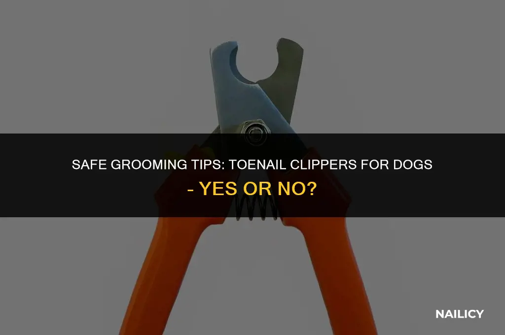 can i use toe nail clippers on my dog