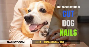 Safely Trimming Dog Nails: Wire Cutters or Nail Clippers?