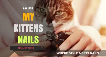 Safely Trimming Your Kitten's Nails: A Step-by-Step Guide