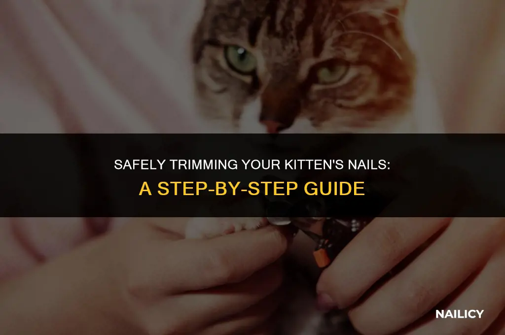 can i vlip my kittens nails