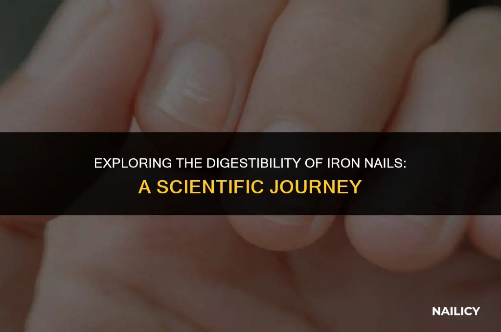 can iron nails be digested
