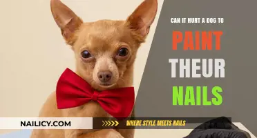 Paws and Polish: The Truth About Painting Your Dog's Nails