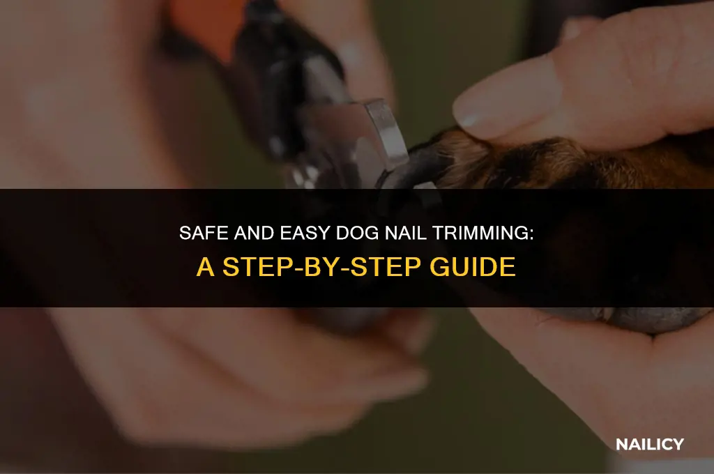 can itrim my dogs nails