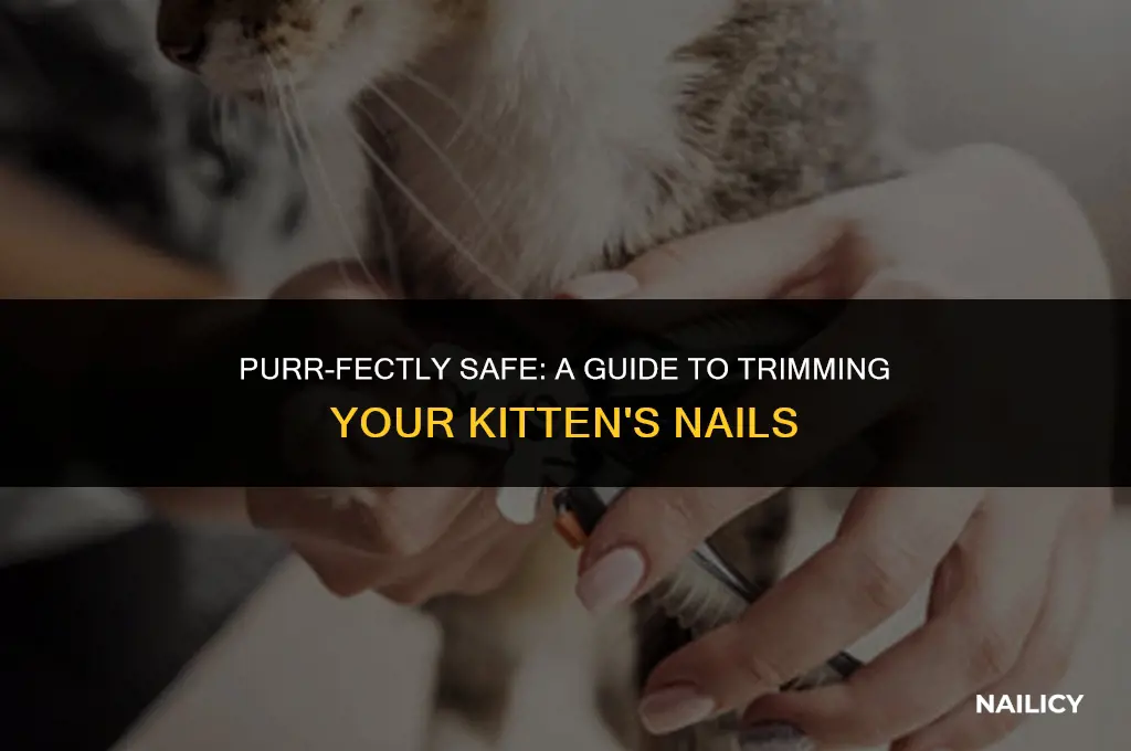 can kitten nails be trimmed