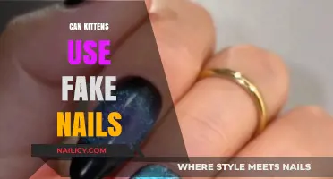 Tiny Paws, Big Questions: Can Kittens Rock Fake Nails?