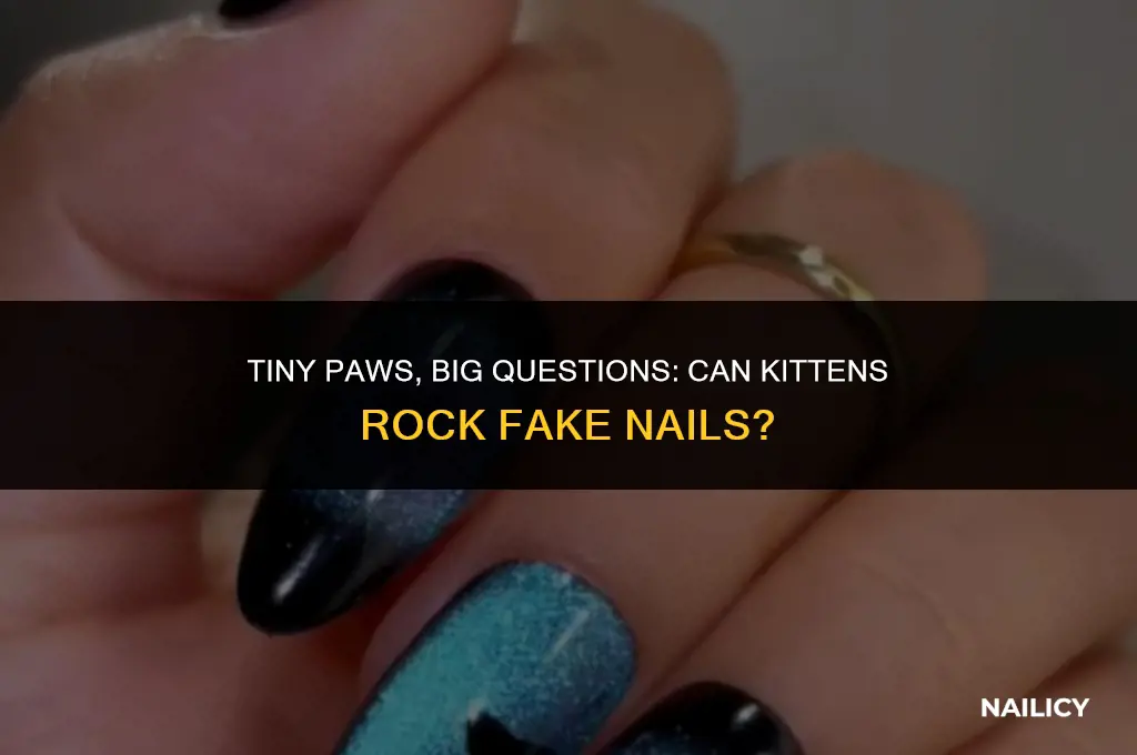 can kittens use fake nails