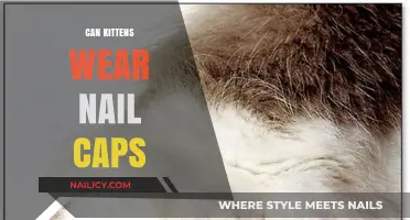 Purr-fectly Safe: A Guide to Nail Caps for Kittens