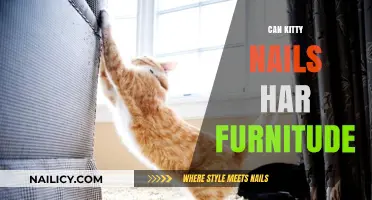 Protecting Your Furniture: The Truth About Kitty Nails