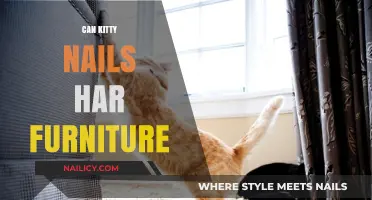 Protecting Your Furniture: The Truth About Kitty Nails