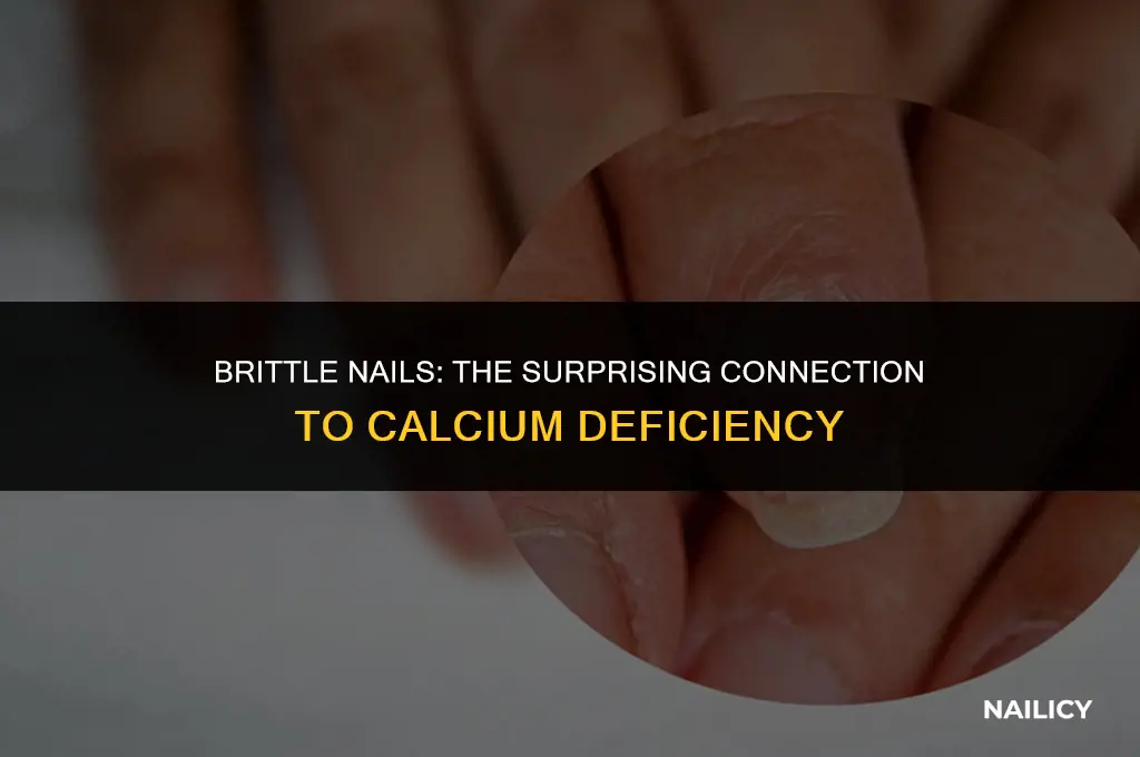 can lack of calcium cause brittle nails