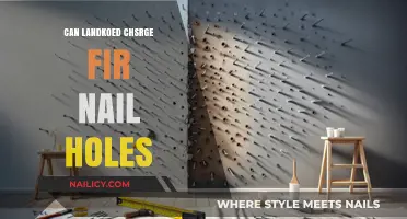 Can Landlords Charge for Nail Holes? A Tenant's Guide