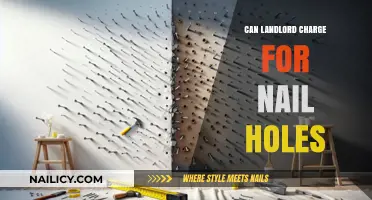 Nail Holes and Rental Woes: What's a Tenant to Do?