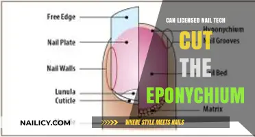 Precision in Practice: Can Licensed Nail Techs Cut the Eponychium?