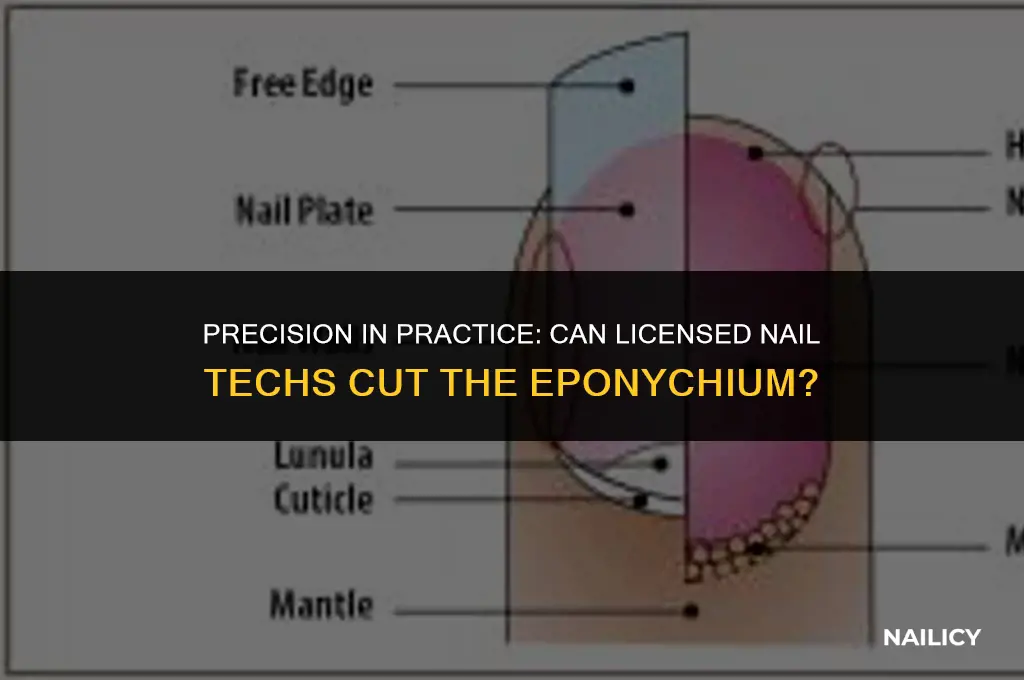 can licensed nail tech cut the eponychium