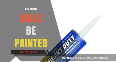 Exploring the Possibilities: Can Liquid Nails Be Painted?