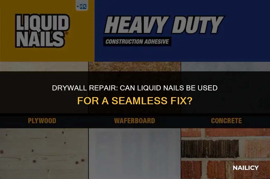 can liquid nails be used on drywall