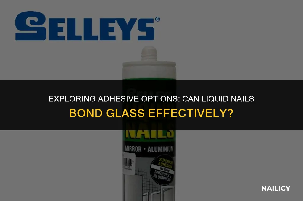 can liquid nails be used on glass