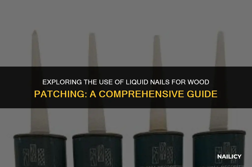can liquid nails be used to patch wood