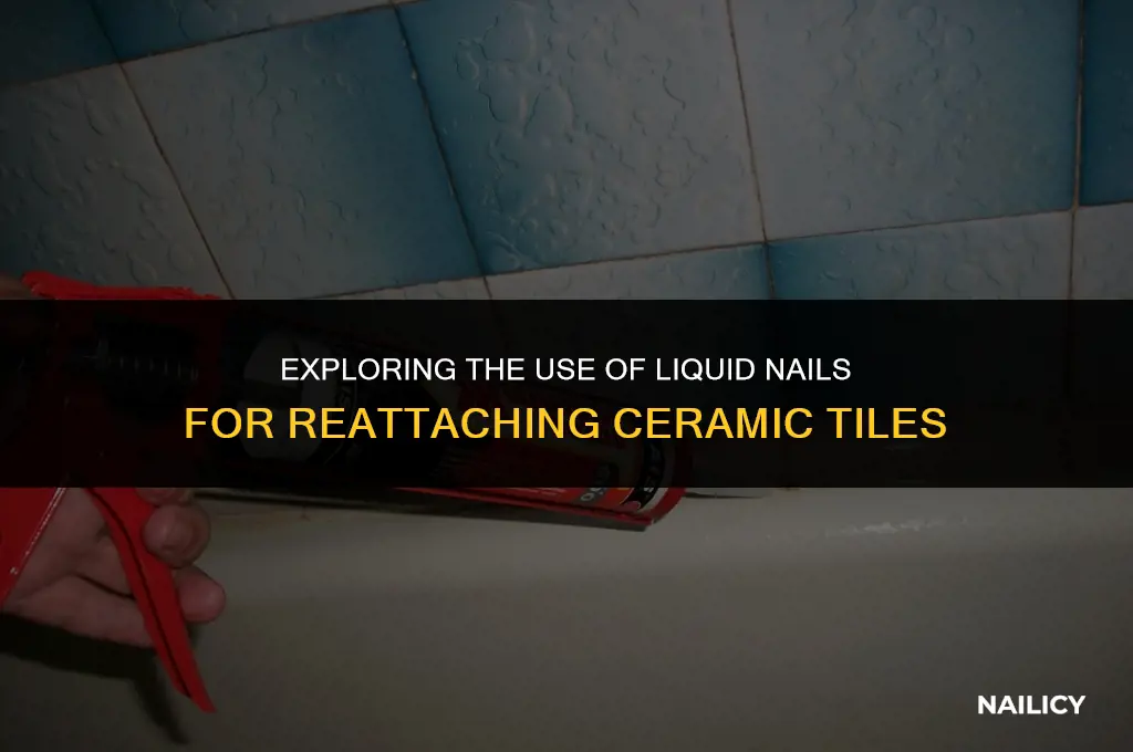 can liquid nails be used to reglue ceramic tile