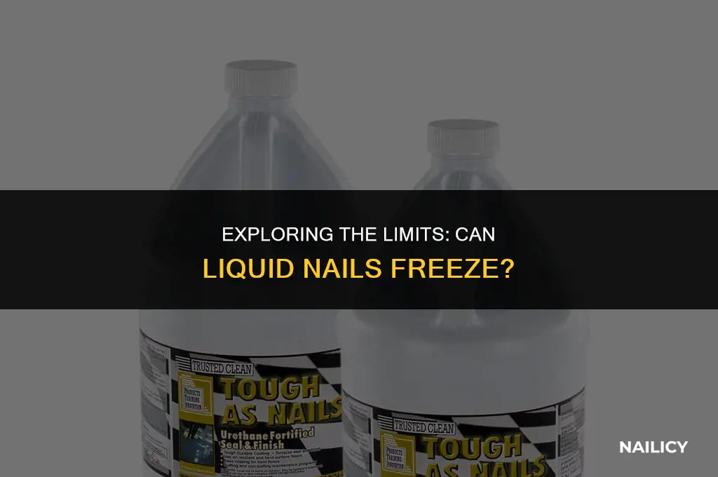 can liquid nails freeze